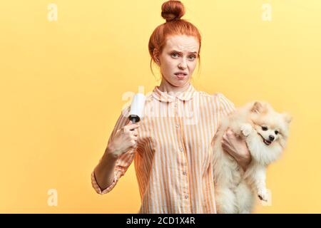 Wütend traurig unglücklich junge Frau mit hairbun ist mit einem Flusenroller, um die Haare von ihrem niedlichen Welpen Hund zu entfernen. Isoliert gelben Hintergrund, Studio erschossen Stockfoto