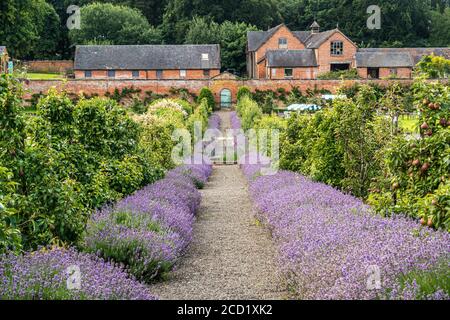 The Walled Garden Tea Rooms und Garten bei Sugnall in Staffordshire Stockfoto