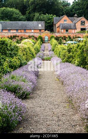 The Walled Garden Tea Rooms und Garten bei Sugnall in Staffordshire Stockfoto