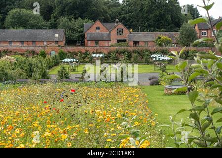 The Walled Garden Tea Rooms und Garten bei Sugnall in Staffordshire Stockfoto