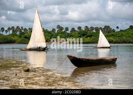 Afrikanische traditionelle hölzerne Fischerboote. Dhow Boote mit den Segeln und Kanufahren in der Nähe der Küste Stockfoto