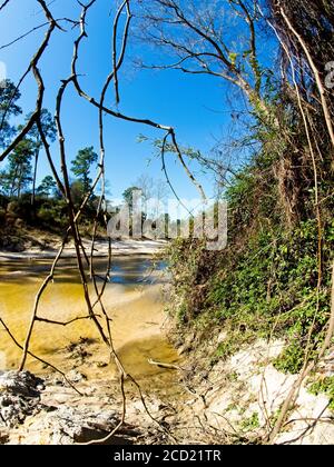 The Woodlands TX USA - 01-20-2020 - Muddy Creek und Bäume Stockfoto