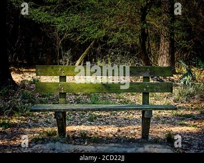 The Woodlands TX USA - 02-28-2020 - Alte Holzbank In Woods 2 Stockfoto