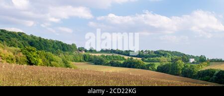 Blick über Felder und sanfte Hügel in englischer Landschaft während Sommer bei Sonnenuntergang Stockfoto