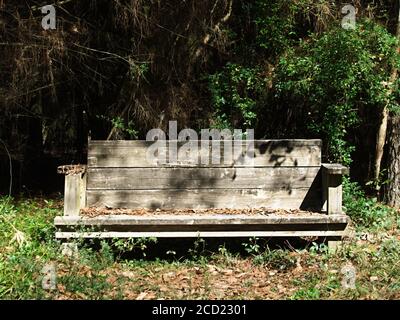 The Woodlands TX USA - 01-20-2020 - Alte Holzbank In Woods Stockfoto