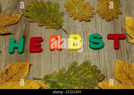Nahaufnahme des Wortes HERBST in Deutsch angelegt Von mehrfarbigen Plastikbuchstaben Stockfoto
