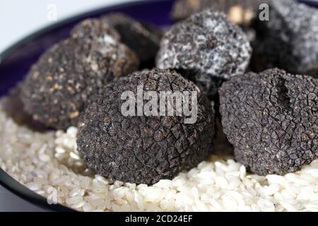 Schwarze Trüffel in Reis auf einem weißen Hintergrund. Stockfoto