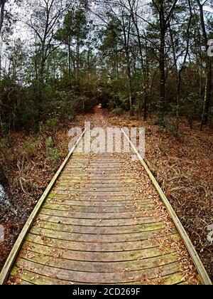 The Woodlands TX USA - 01-09-2020 - Wooden Trail Bridge In den Wald Stockfoto