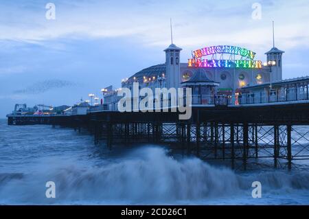 Brighton Palace Pier in der Abenddämmerung mit bunten Neonlichtern und einer Muration von Stare im Hintergrund, Brighton und Hove, East Sussex, England, Großbritannien Stockfoto