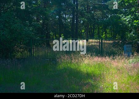 Metalltor mitten in einem grünen Wald Stockfoto