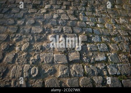 Kopfsteinpflaster mit Straßendetails. Junges grünes Gras in den Gelenken zwischen Blöcken. Stockfoto