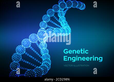 DNA-Sequenz. Wireframe DNA-Moleküle Struktur Netz. DNA-Code editierbare Vorlage. Science and Technology Konzept. Vektorgrafik. Stock Vektor