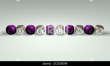 Kreuzworträtsel von KONEFLOWER angeordnet durch kubische Buchstaben auf einem Spiegelboden, Konzept Bedeutung und Präsentation, 3D-Illustration Stockfoto