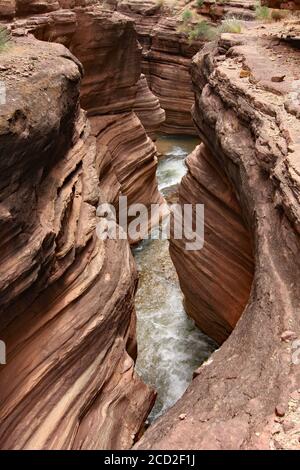 Deer Creek und Deer Creek Narrows im Grand Canyon National Park, Arizona im Sommer. Stockfoto