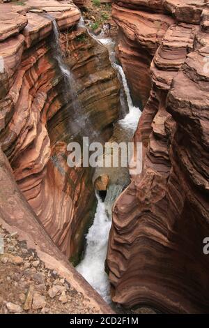 Deer Creek und Deer Creek Narrows im Grand Canyon National Park, Arizona im Sommer. Stockfoto