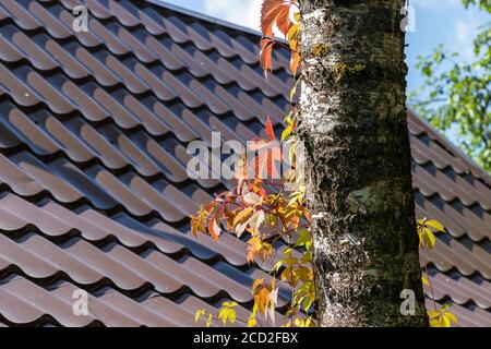 Abstrakter architektonischer Hintergrund mit Fragmenten eines neuen Ziegeldachs. Stockfoto