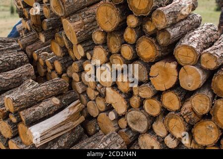 In einem riesigen Haufen liegen Holzstämme Stockfoto