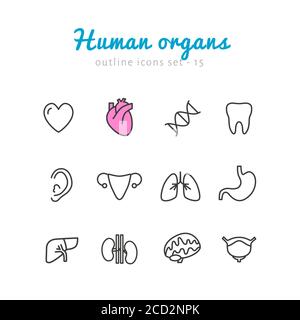 Symbole für menschliche Organe eingestellt. Lineare flache Sammlung von menschlichen Körpersystemen, inneren und sensorischen Organen Stock Vektor