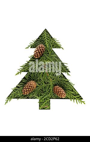 Grüner Christmabaum aus Nadelbaum mit Tannenzapfen auf weißem Hintergrund. Minimaler Kompositionshintergrund. Stockfoto