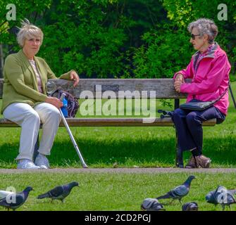 Zwei ältere Frauen sitzen an den Enden einer Parkbank und reden, eine mit einem Gehstock. Tauben auf dem Boden Gras & Bäume dahinter. Stockfoto