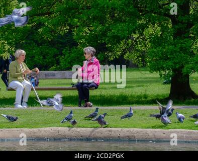 Zwei ältere Frauen sitzen an den Enden einer Parkbank und reden, neben dem Teich, eine mit einem Gehstock. Tauben in der Luft & auf dem Boden, Bäume & Gra Stockfoto