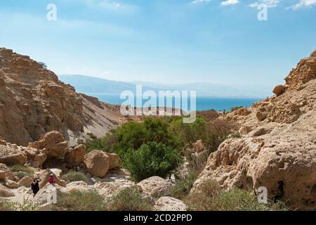 Ein paar Touristen bewundern die Landschaft im david-Bach im ein Gedi Park in israel, der Felsbrocken, üppige Bäume, Wüstenklippen und das tote Meer zeigt Stockfoto