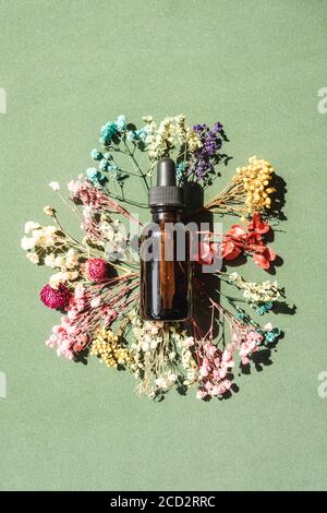 Draufsicht der Flasche mit Pipette auf grünem Hintergrund. Getrocknete bunte Blumen rund um die Flasche. Alternative Medizin, pflanzliche Essenz, nachhaltige Leben Stockfoto