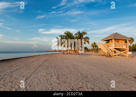 Palmen am Miami Beach bei Sonnenaufgang, Florida, USA. Stockfoto