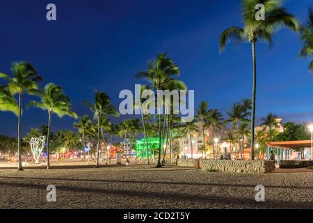 Ocean Drive in South Miami Beach mit Palmen bei Nacht in Miami Beach, Florida Stockfoto