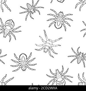 Spider Grafik schwarz weiß nahtlose Muster Hintergrund Skizze Illustration Vektor Stock Vektor