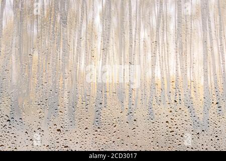 Birken mit gelbem Laub von der Sonne nach Regen hinter nassem Glas im goldenen Herbst beleuchtet. Das Konzept der Änderung schlechten Wetters zu gut und f Stockfoto