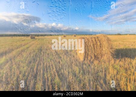 Ein landwirtschaftliches Feld mit Heuhaufen, beleuchtet von Abendsonne nach Regen, hinter nassem Glas im Herbst. Das Konzept der Änderung von schlechtem Wetter zu g Stockfoto