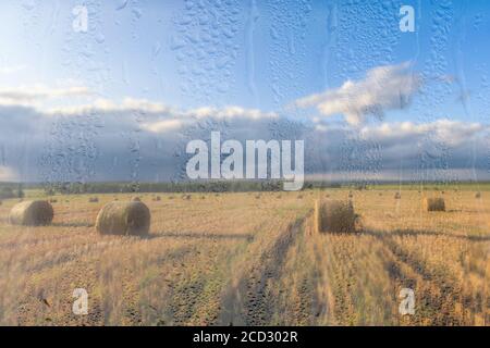 Ein landwirtschaftliches Feld mit Heuhaufen, beleuchtet von Abendsonne nach Regen, hinter nassem Glas im Herbst. Das Konzept der Änderung von schlechtem Wetter zu g Stockfoto