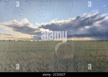 Ein landwirtschaftliches Feld mit Heuhaufen, beleuchtet von Abendsonne nach Regen, hinter nassem Glas im Herbst. Das Konzept der Änderung von schlechtem Wetter zu g Stockfoto