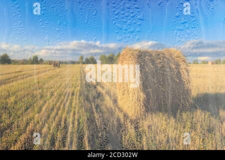 Ein landwirtschaftliches Feld mit Heuhaufen, beleuchtet von Abendsonne nach Regen, hinter nassem Glas im Herbst. Das Konzept der Änderung von schlechtem Wetter zu g Stockfoto