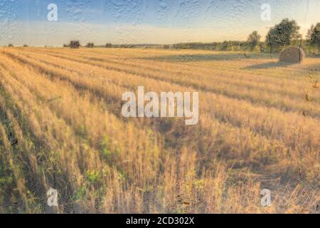 Ein landwirtschaftliches Feld mit Heuhaufen, beleuchtet von Abendsonne nach Regen, hinter nassem Glas im Herbst. Das Konzept der Änderung von schlechtem Wetter zu g Stockfoto