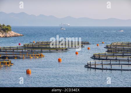 Fischfarm in Kroatien Stockfoto