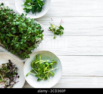 Sortiment von Mikrogrüns auf weißem Holzhintergrund, Kopierraum, Draufsicht. Roter Rettich, grüne Erbsen, Sonnenblumen und andere Sprossen in Schalen. Gesundes li Stockfoto