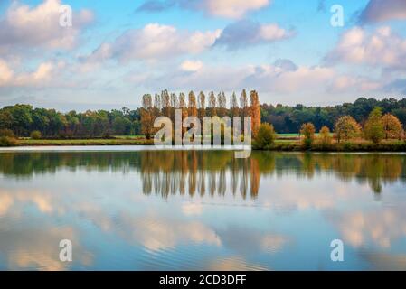 Bäume und Wolken Reflexionen auf einem Teich im Herbst, Burgund, Frankreich Stockfoto