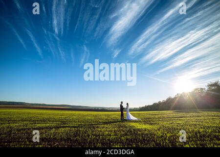 Eleganter Bräutigam und schicke Brünette Braut auf einem Hintergrund der Natur und blauen Himmel. Blick aus der Ferne Stockfoto
