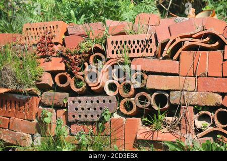 Alte Schindeln im Garten als Nistplätze für Insekten, Deutschland Stockfoto