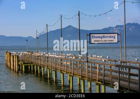 Schwarzkopfmöwe (Larus ridibundus, Chroicocephalus ridibundus), etwa 100 Möwen, die auf dem Geländer am Landeplatz sitzen, Deutschland, Bayern, See Stockfoto