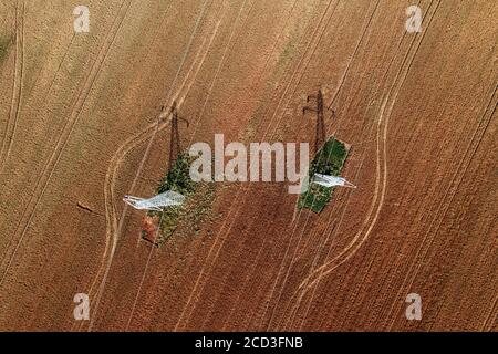 Luftaufnahme von Strommasten in landwirtschaftlichen Feldern, die Schatten auf Feldfrüchten werfen, Draufsicht Drohnenfotografie Stockfoto