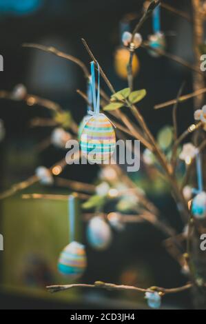 Ostereier im Baum Stockfoto