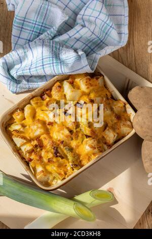 Lauch-Rezepte Stockfoto