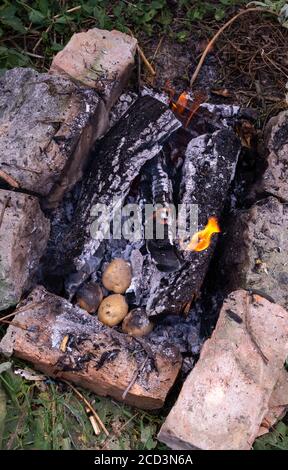Kartoffeln in Kohlen vom Feuer backen, auf einer Wanderung kochen Stockfoto