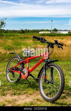 Kleines rotes Kinderfahrrad auf Gras Stockfoto
