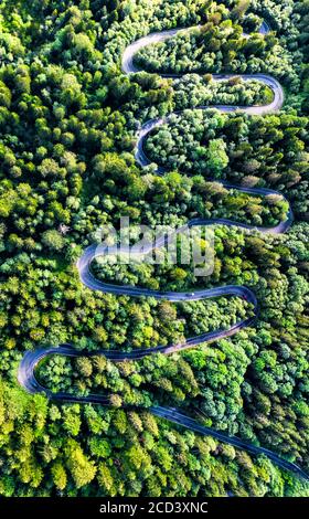 Sinaia, Rumänien. Windige Straße in den Karpaten, Bucegi. Stockfoto