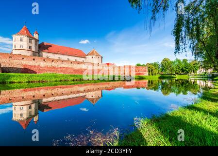 Fagaras, Rumänien. Atemberaubende Blütenlandschaft mit mittelalterlicher Festung in Siebenbürgen. Stockfoto