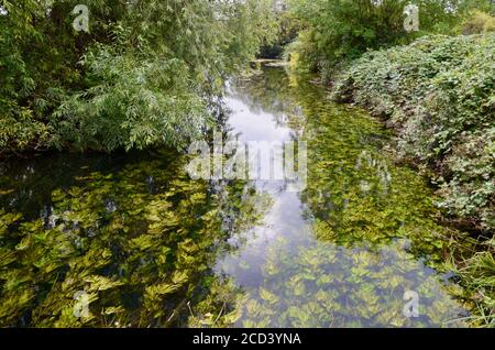 walthamstow Feuchtgebiete Stauseen N17 Fährenlinie london england Großbritannien Stockfoto